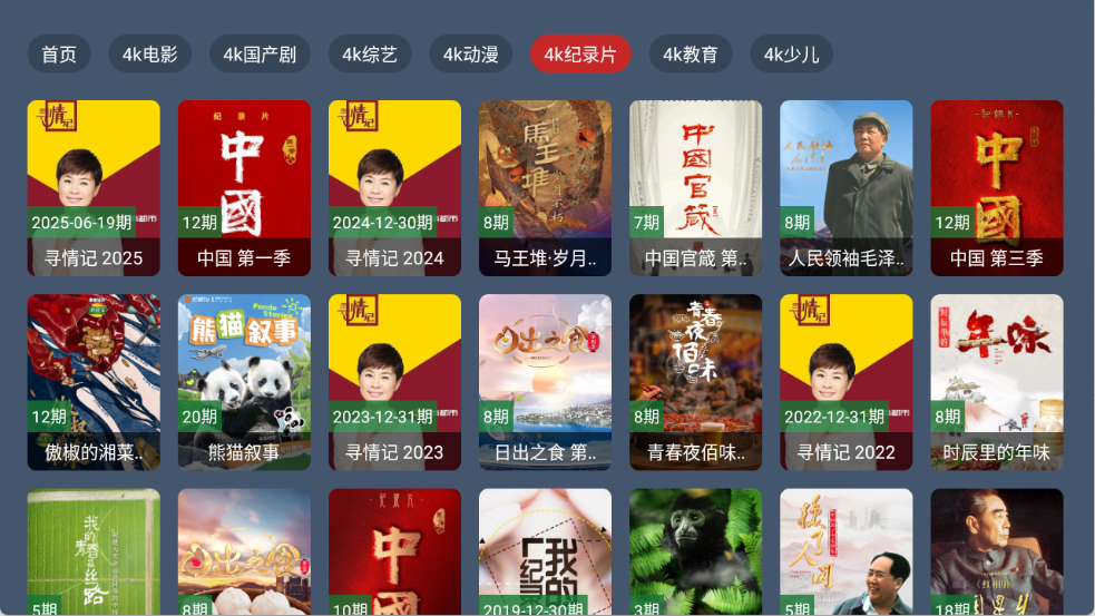 东岳4K影视 截图