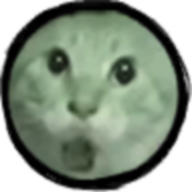 圆头猫大作战