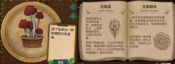 奇异园艺