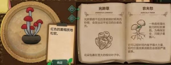 奇异园艺