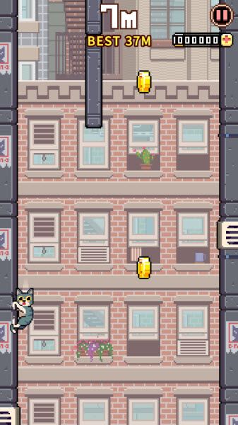 猫跳