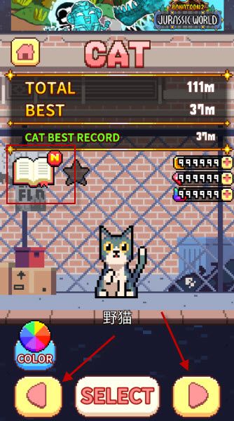 猫跳