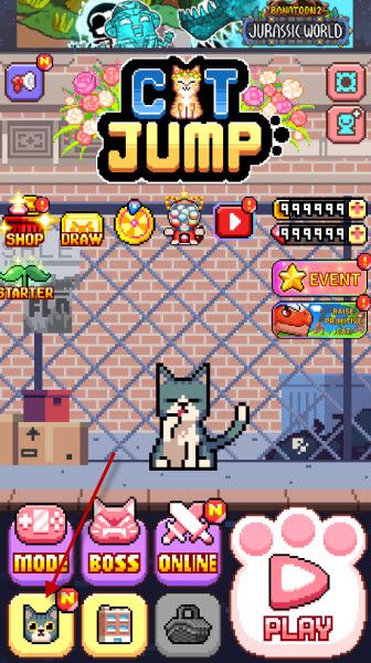 猫跳