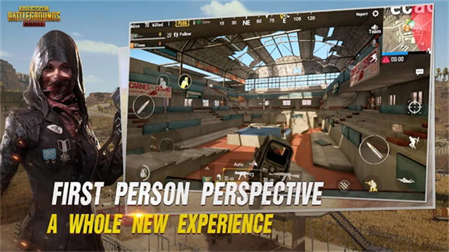 pubg体验服4.1.0 截图