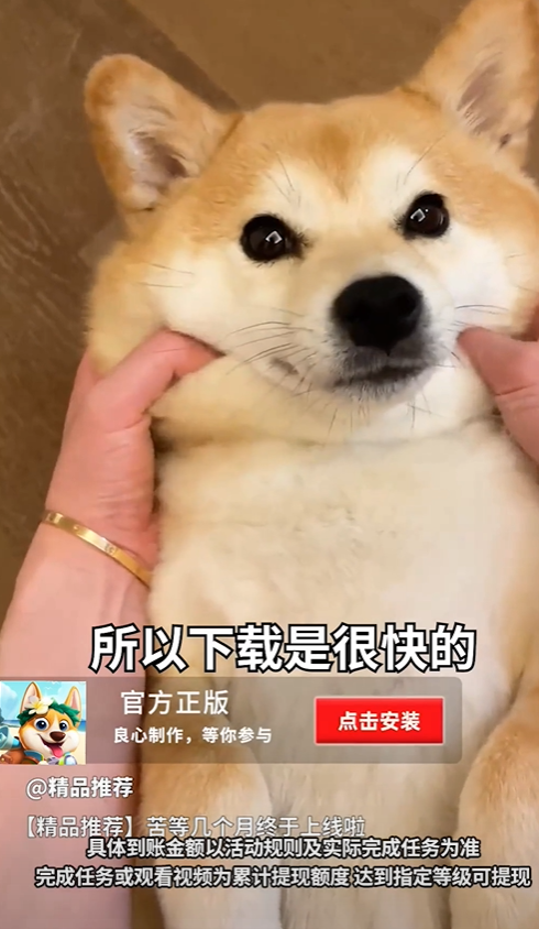 旺财历险记红包版 旺财历险记红包版