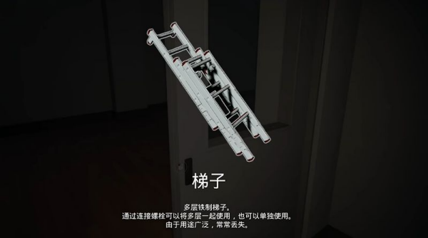 狼伴侣