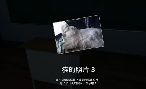 狼伴侣