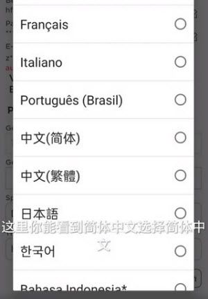 罗布乐思国际服 罗布乐思国际服