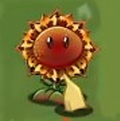 植物大战僵尸转基因版最新版