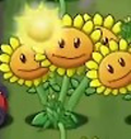 植物大战僵尸转基因版最新版