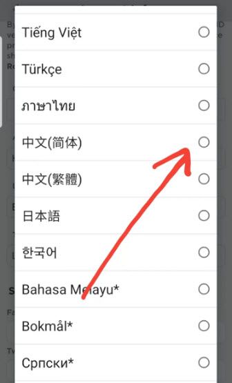roblox国际版 roblox国际版