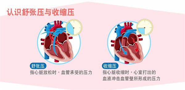 蚂蚁庄园2025年11月23日最新答案