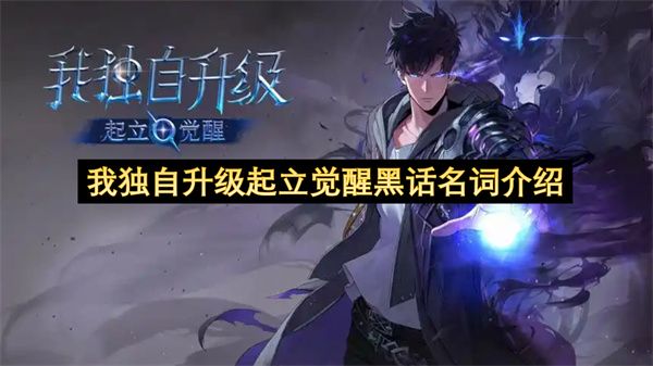 我独自升级:起立觉醒黑话全解析 我独自升级:起立觉醒黑话全解析