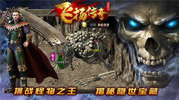 飞扬九职业 截图