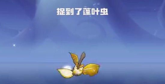 洛克王国世界蓬叶虫捕捉攻略  
蓬叶虫获取技巧详解