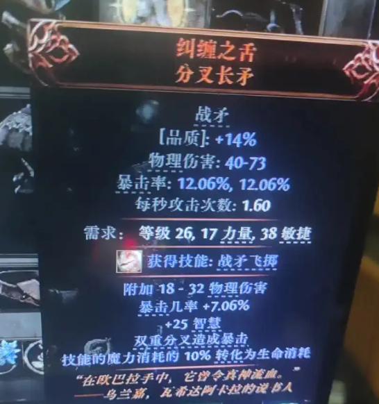 流放之路2-高价值装备物品展示解析 流放之路2-高价值装备物品展示解析