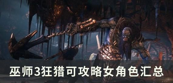 巫师3技能石介绍攻略(巫师3技能石的种类及应用详解) 巫师3技能石介绍攻略(巫师3技能石的种类及应用详解)