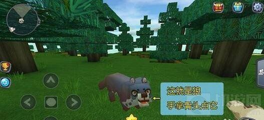 迷你世界怎么驯服狼当坐骑 驯服狼当坐骑技巧