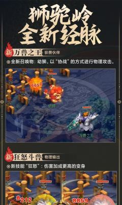 《梦幻西游幼狮技能加点攻略》（打造强力幼狮，技能加点关键解析）