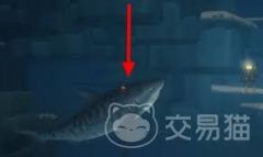 潜水员戴夫中虎鲨怎么打
