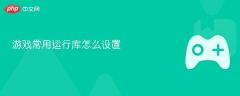 游戏运行库设置全指南