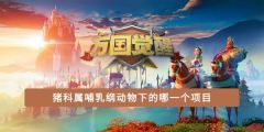 猪科属哺乳纲动物下的哪一个项目