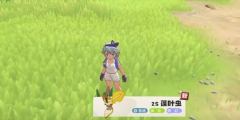 洛克王国世界蓬叶虫捕捉攻略  
蓬叶虫获取技巧详解