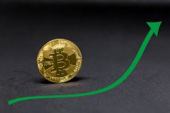 疯狂水世界-新手开荒攻略大全2026