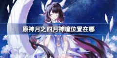 原神-月之四挪德卡莱月神瞳位置全览